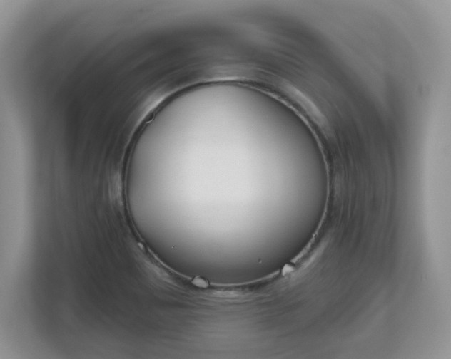 X0000110901465200906251328