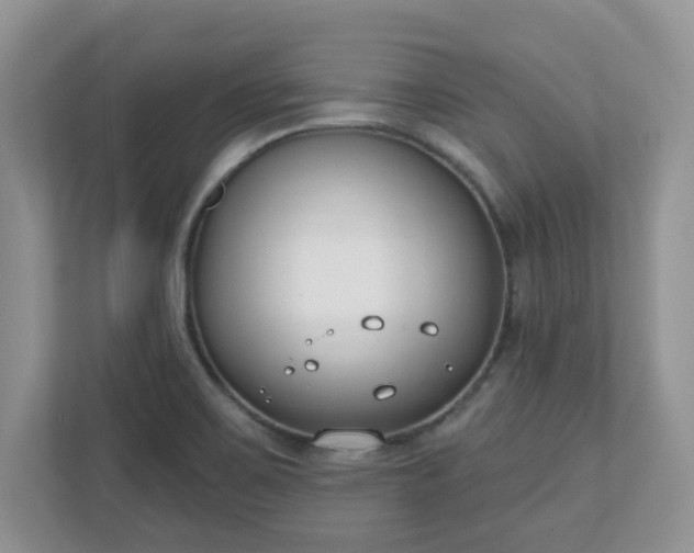 X0000110901467200906251328