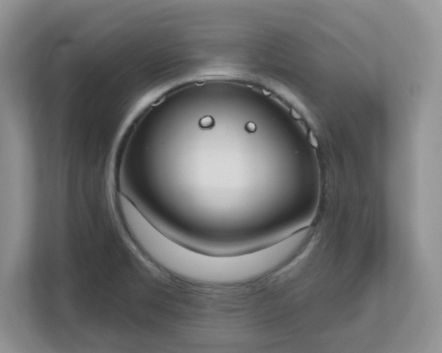 X0000110901469200906251328