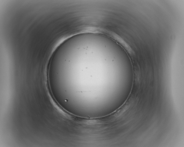 X0000110901479200906251327