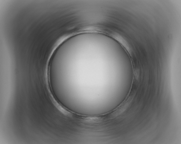 X0000110901482200906251327