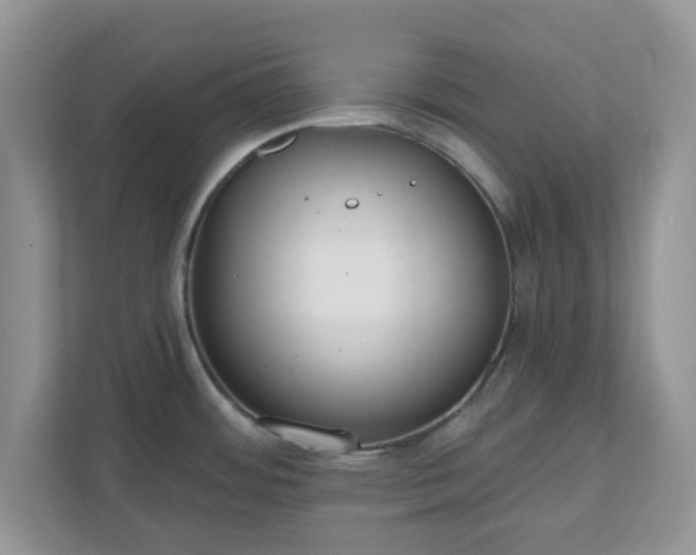 X0000110901484200906251327