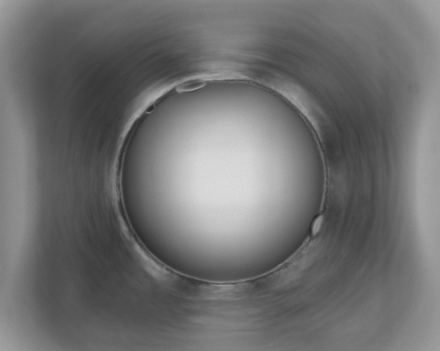 X0000110901485200906251327