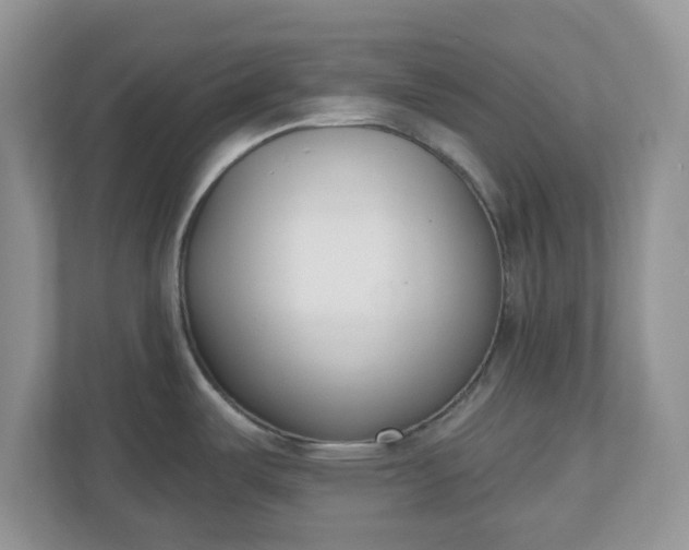 X0000110901487200906251327