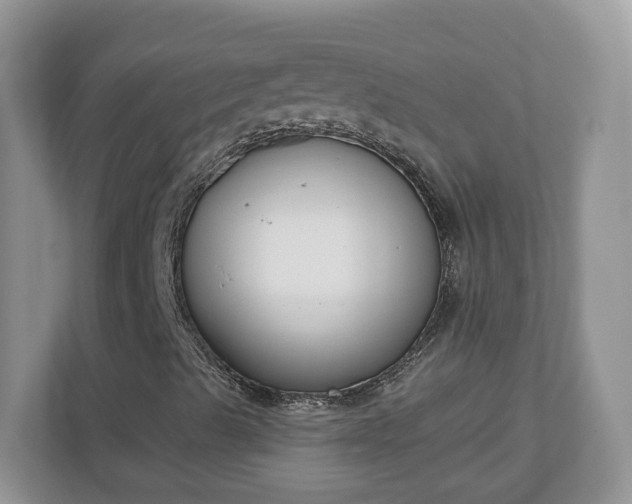 X0000110901489200906251327