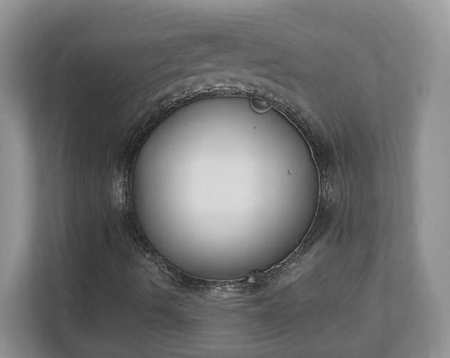 X0000110901490200906251327