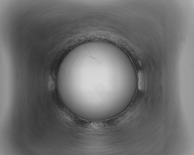 X0000110901491200906251327