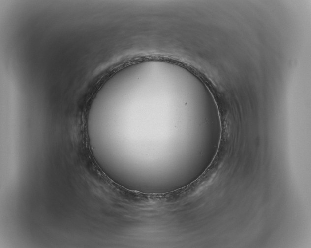 X0000110901494200906251327