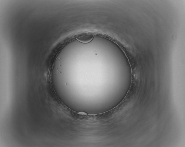 X0000110901495200906251327