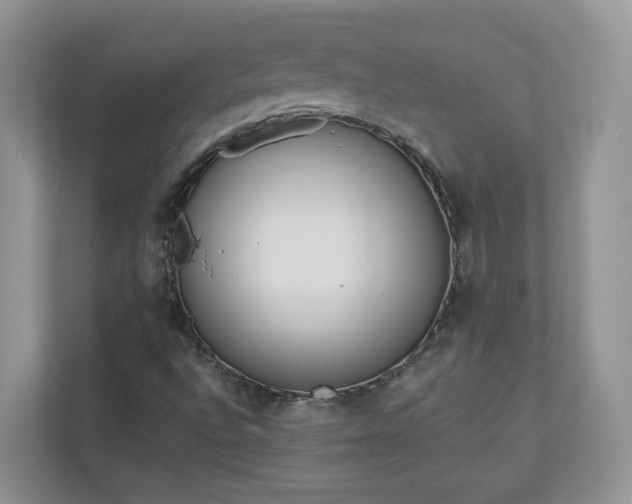 X0000110901496200906251327