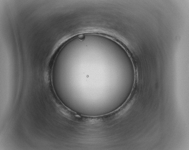X0000110901501200906251327