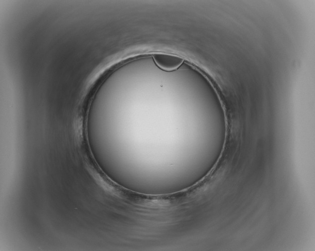 X0000110901503200906251327