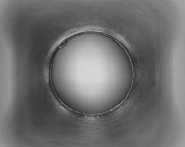 X0000110901504200906251327
