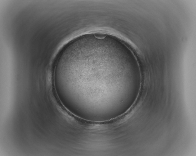 X0000110901506200906251327