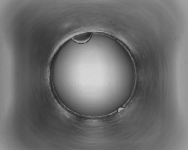 X0000110901508200906251327