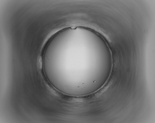 X0000110901509200906251327