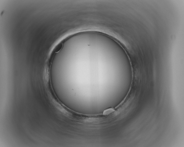 X0000110901510200906251327