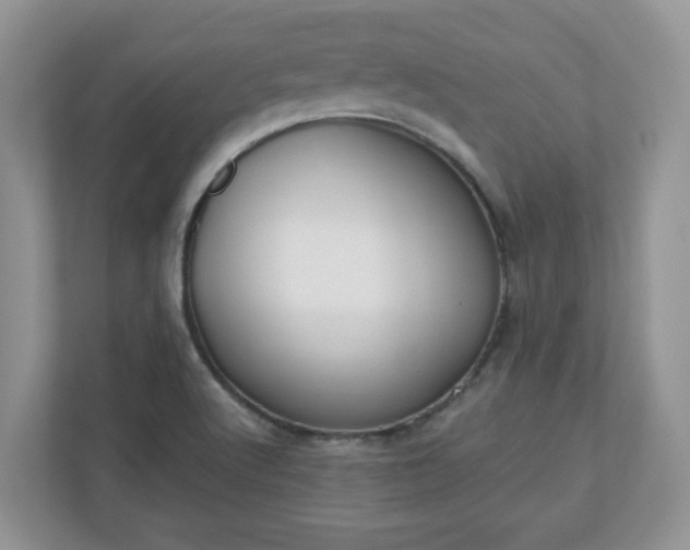 X0000110901512200906251327