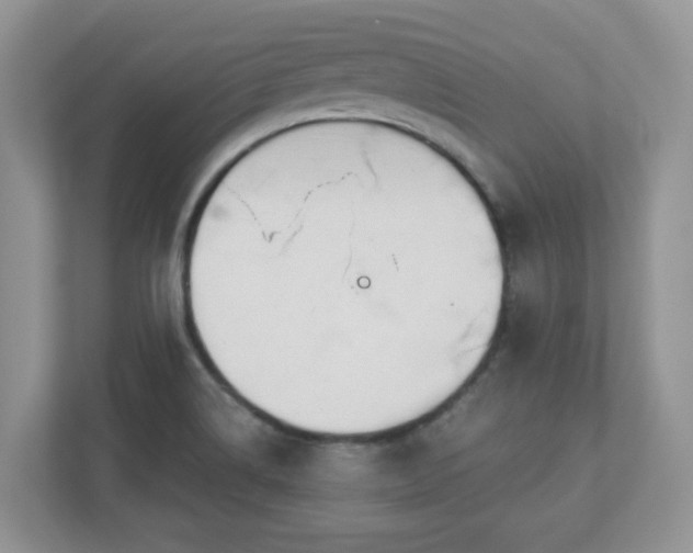 X0000110901514200906251327