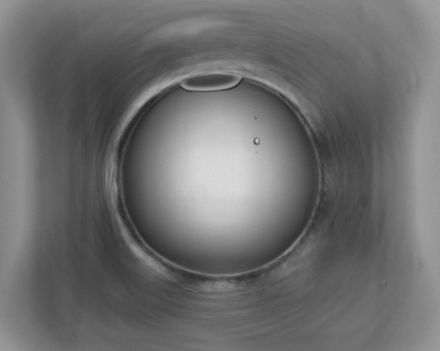 X0000110901515200906251327