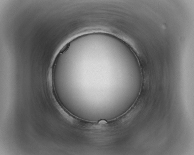 X0000110901516200906251327