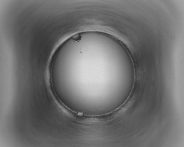 X0000110901517200906251327