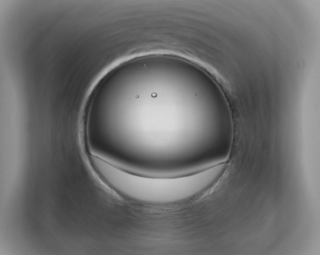 X0000110901518200906251327