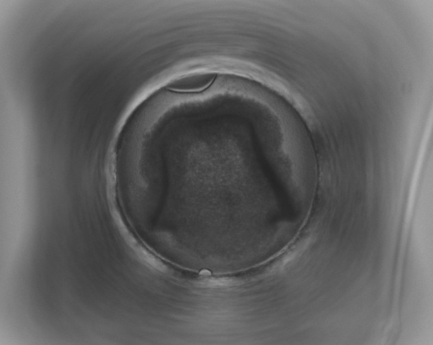 X0000110901522200906251327