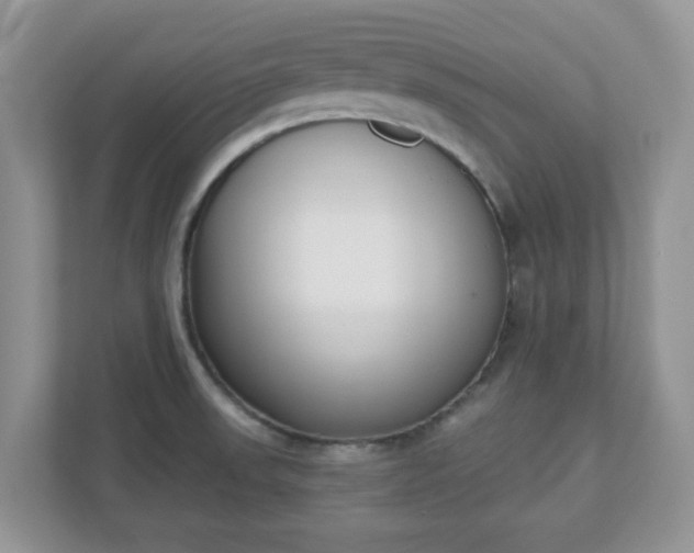 X0000110901523200906251327