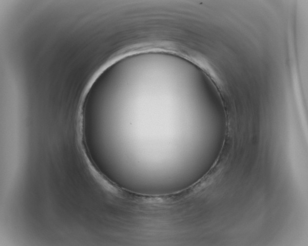 X0000110901524200906251327