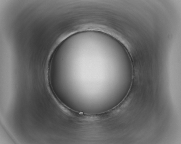 X0000110901525200906251327