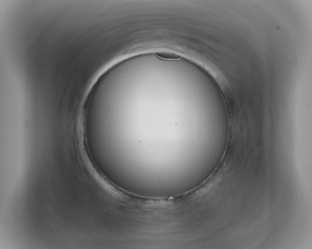 X0000110901526200906251327