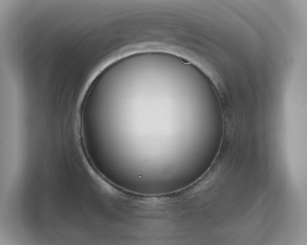 X0000110901527200906251327