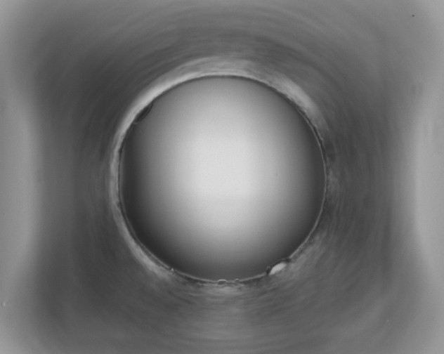 X0000110901528200906251327