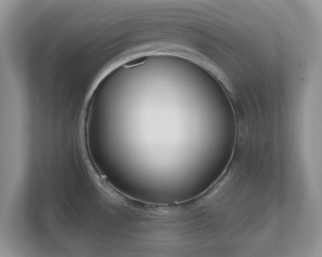 X0000110901530200906251327