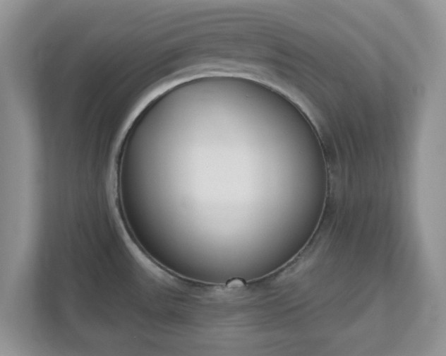 X0000110901531200906251327