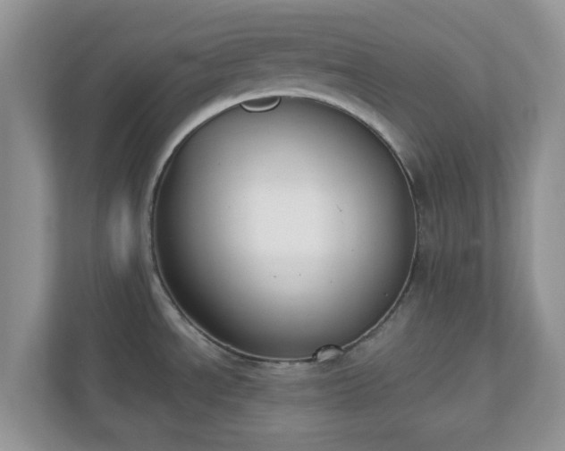 X0000110901534200906251327