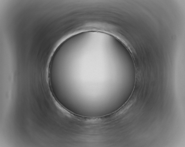 X0000110901535200906251327