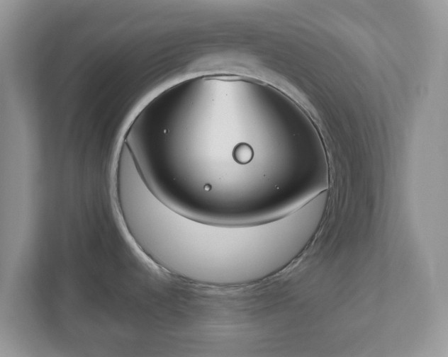 X0000110901536200906251327