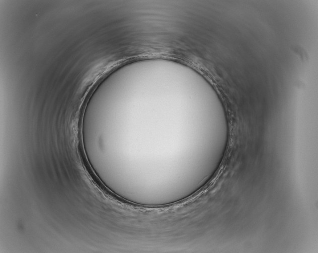 X0000110900002200907021547