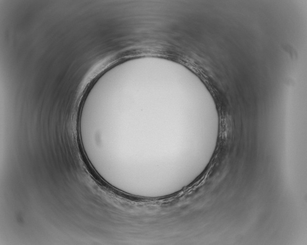 X0000110900004200907021547