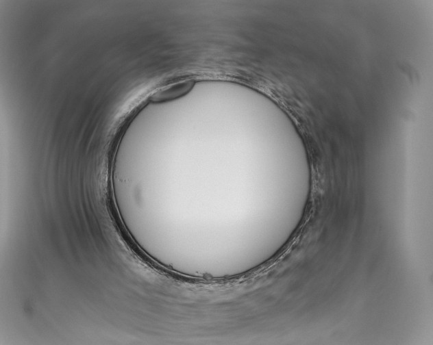 X0000110900005200907021547
