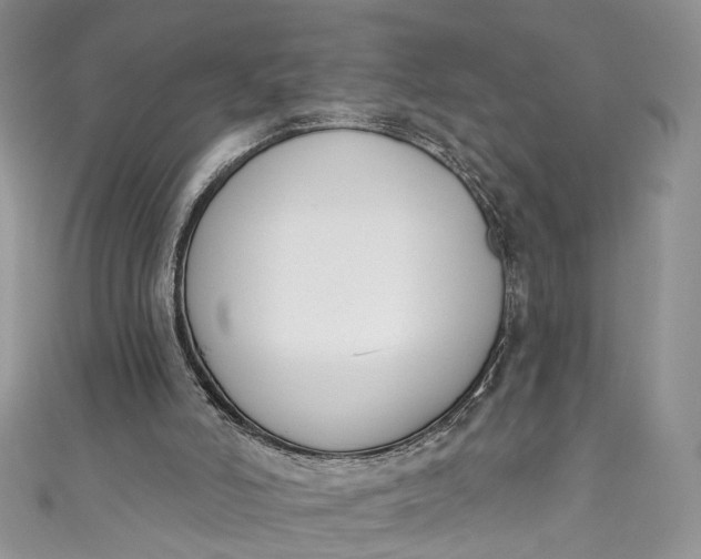 X0000110900006200907021547