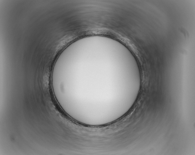 X0000110900010200907021547
