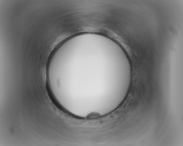 X0000110900011200907021547