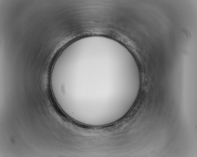 X0000110900012200907021547