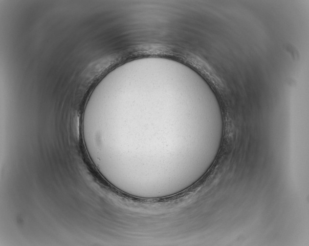 X0000110900014200907021547