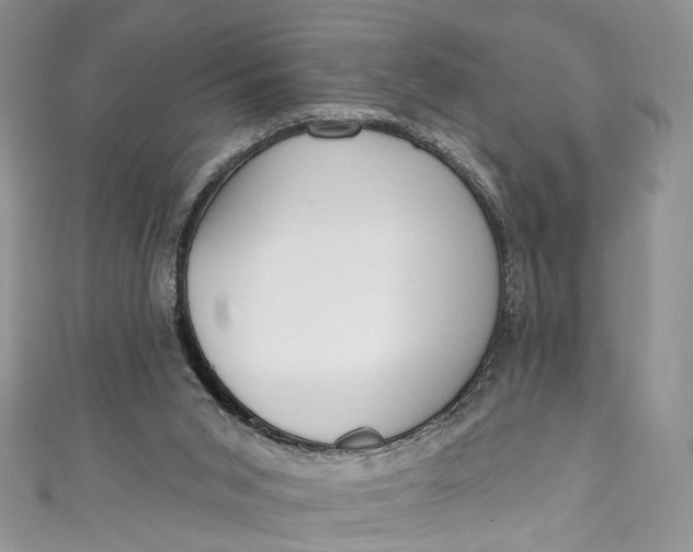 X0000110900015200907021547