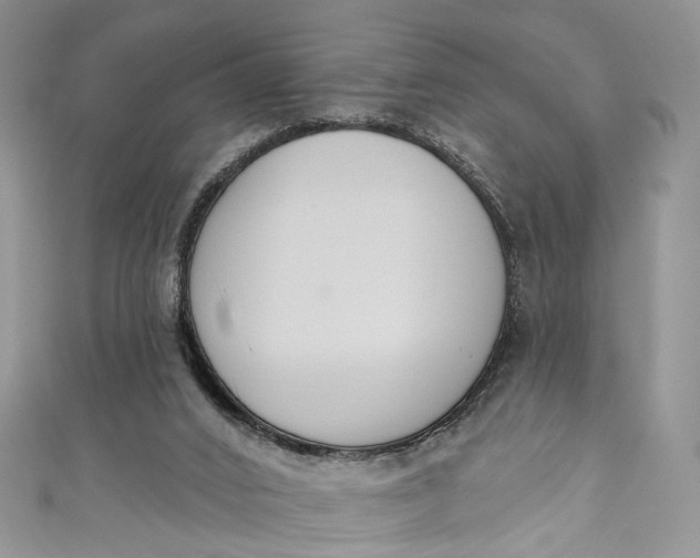 X0000110900016200907021547