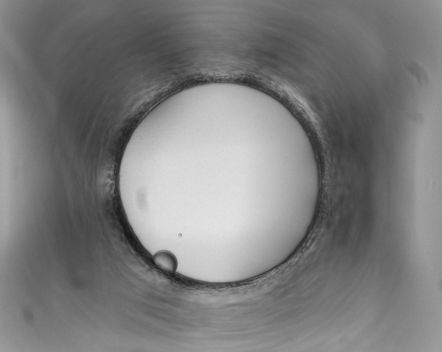 X0000110900017200907021547